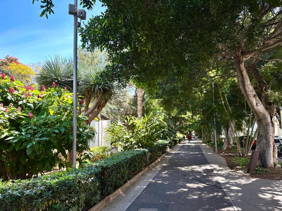 Centrico Y Moderno Junto Al Parque Apartment ซานตาครูซ เด เตเนริเฟ ภายนอก รูปภาพ