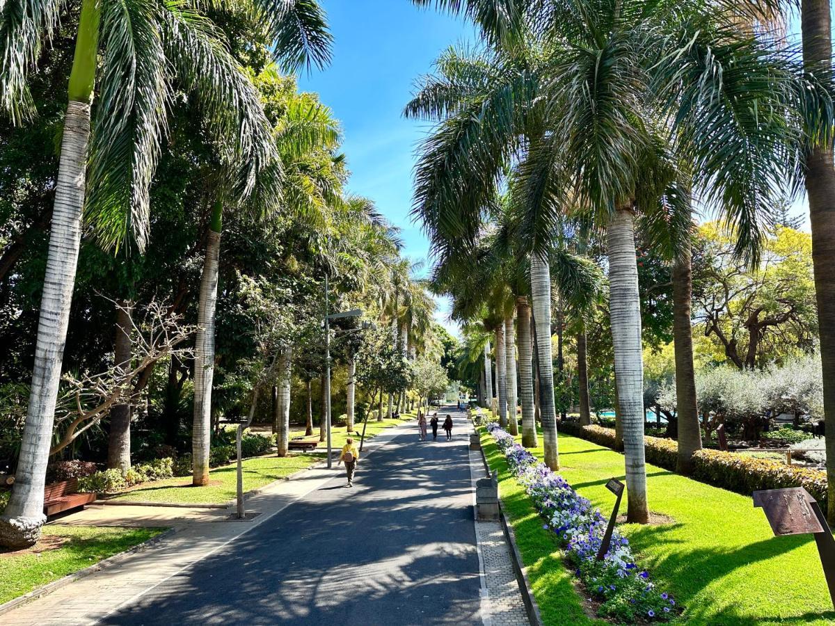 Centrico Y Moderno Junto Al Parque Apartment ซานตาครูซ เด เตเนริเฟ ภายนอก รูปภาพ
